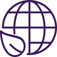 Sustainability purple@240